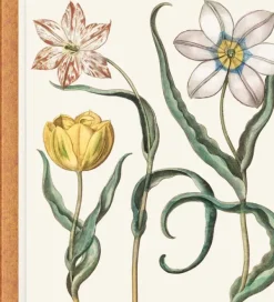 Taschen Arboles Y Plantas-Basilius Besler. The Garden at Eichstätt. 3 Vol.