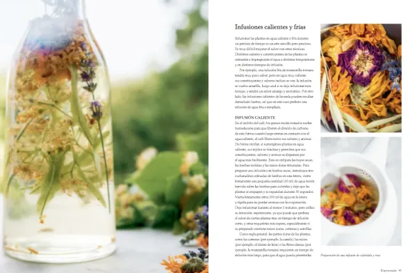 Blume Dietas Especiales-Bebidas botánicas