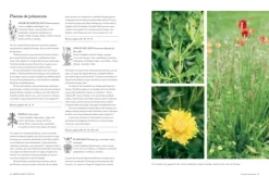 Blume Dietas Especiales-Bebidas botánicas
