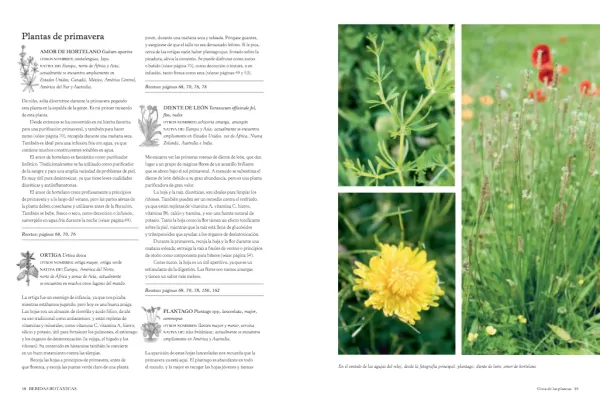 Blume Dietas Especiales-Bebidas botánicas