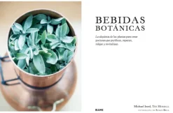 Blume Dietas Especiales-Bebidas botánicas