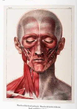 Taschen Taschen-Bourgery. Atlas de anatomía humana y cirugía. Biblioteca Universal