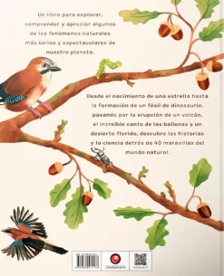 Contrapunto Animales Y Naturaleza-De Bellota a Roble