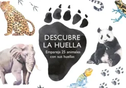 MTM Actividades Y Puzzles-Descubre la huella