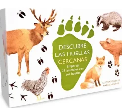 MTM Pasatiempos-Descubre las huellas cercanas. Juego de memoria