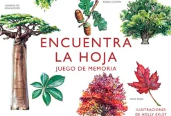 MTM Pasatiempos-Encuentra la hoja. Juego de memoria