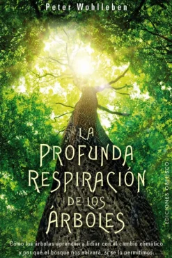 Obelisco Arboles Y Plantas-La profunda respiración de los árboles