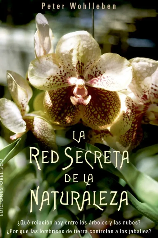 Obelisco Arboles Y Plantas-La red secreta de la naturaleza