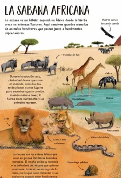 Contrapunto Animales Y Naturaleza-Mi primer libro de la naturaleza