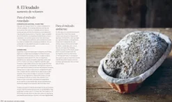 Blume Repostería Y Panadería-Pan ecológico con masa madre