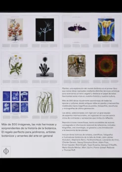 Phaidon Arboles Y Plantas-Plantas. Una exploración del mundo botánico