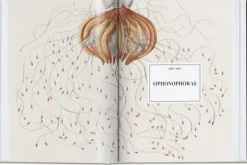 Taschen Arte-The Art and Science of Ernst Haeckel. 40th Ed.